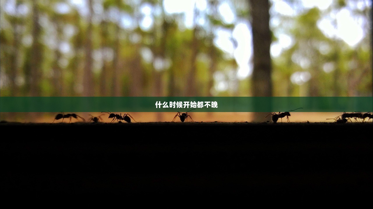 什么时候开始都不晚