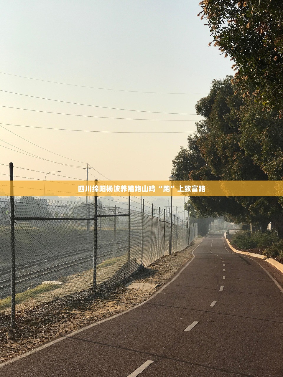 四川绵阳杨波养殖跑山鸡“跑”上致富路  第1张