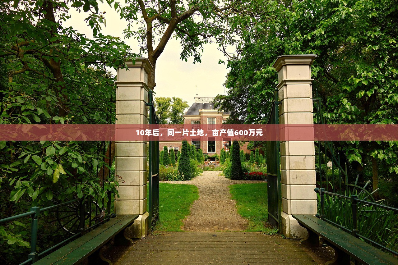 10年后，同一片土地，亩产值600万元