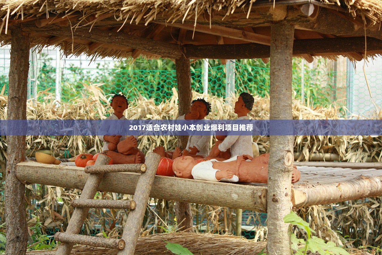 2017适合农村娃小本创业爆利项目推荐