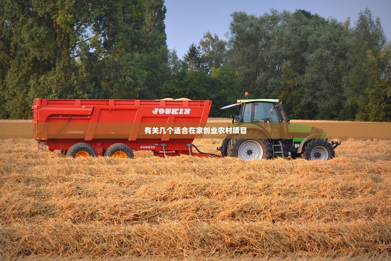 有关几个适合在家创业农村项目 第1张 有关几个适合在家创业农村项目 第1张