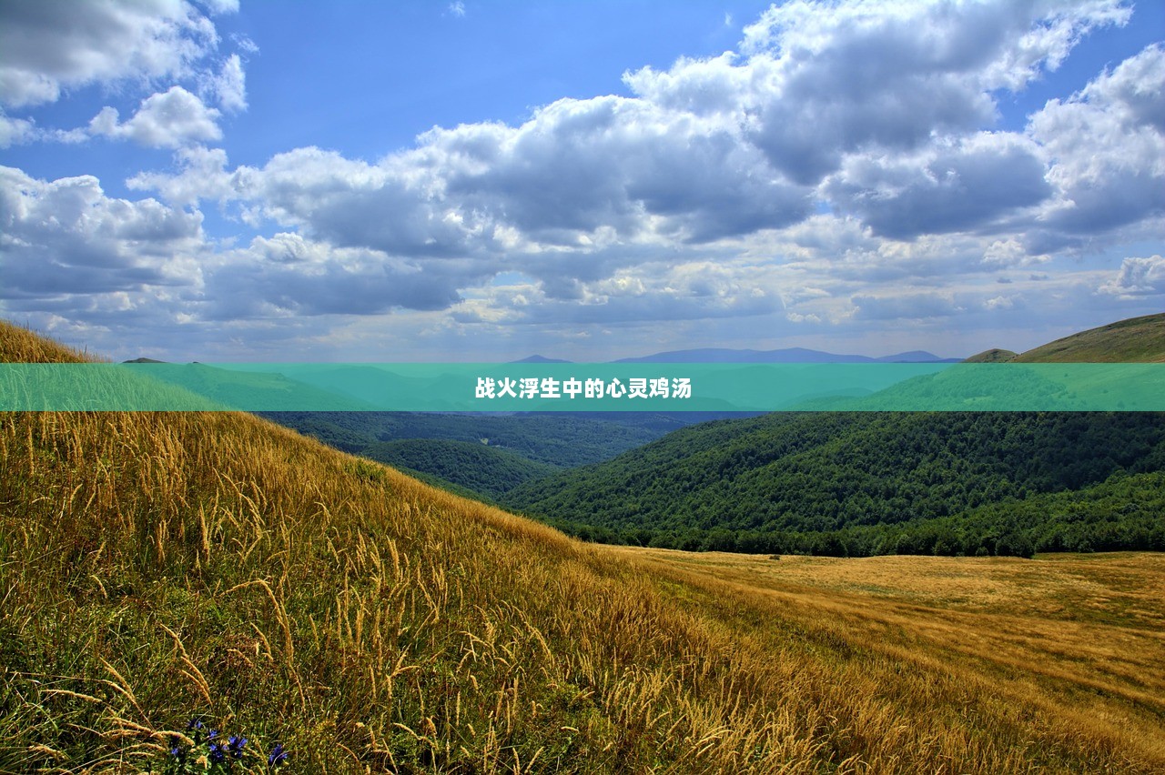 战火浮生中的心灵鸡汤