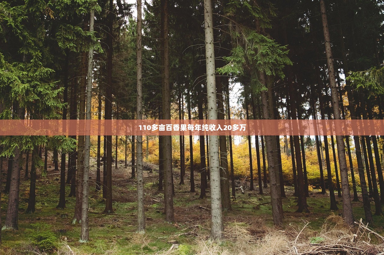 110多亩百香果每年纯收入20多万