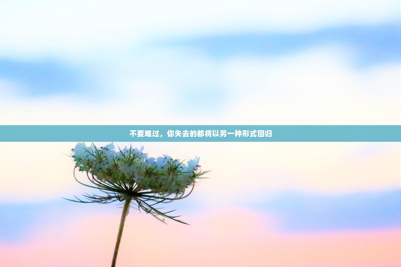 不要难过，你失去的都将以另一种形式回归