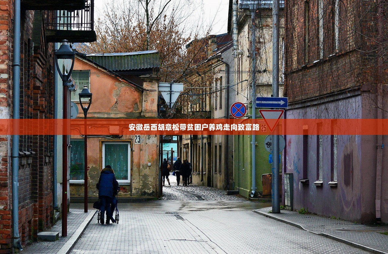 安徽岳西胡章松带贫困户养鸡走向致富路  第1张