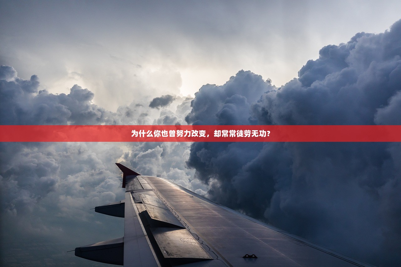 为什么你也曾努力改变，却常常徒劳无功？