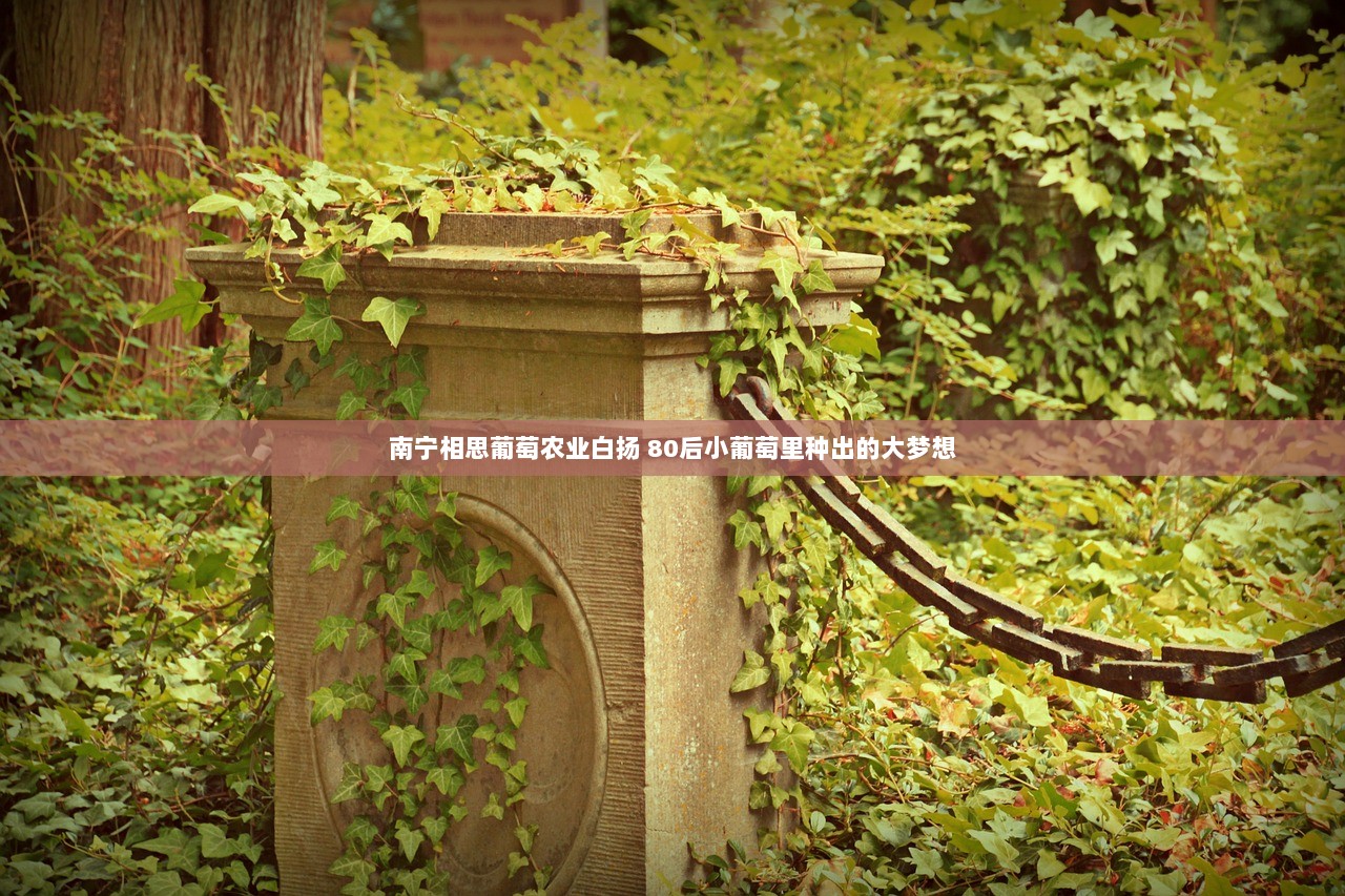 南宁相思葡萄农业白扬 80后小葡萄里种出的大梦想