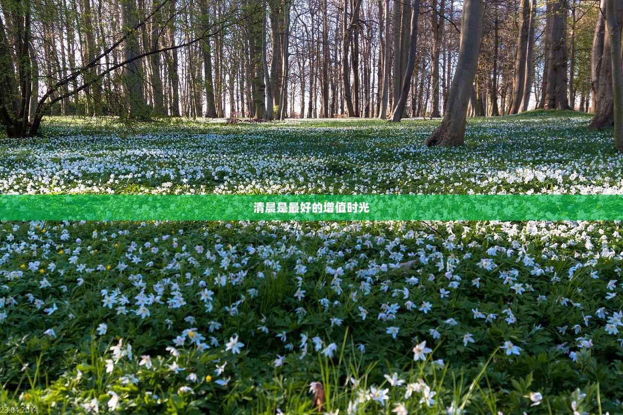 清晨是最好的增值时光