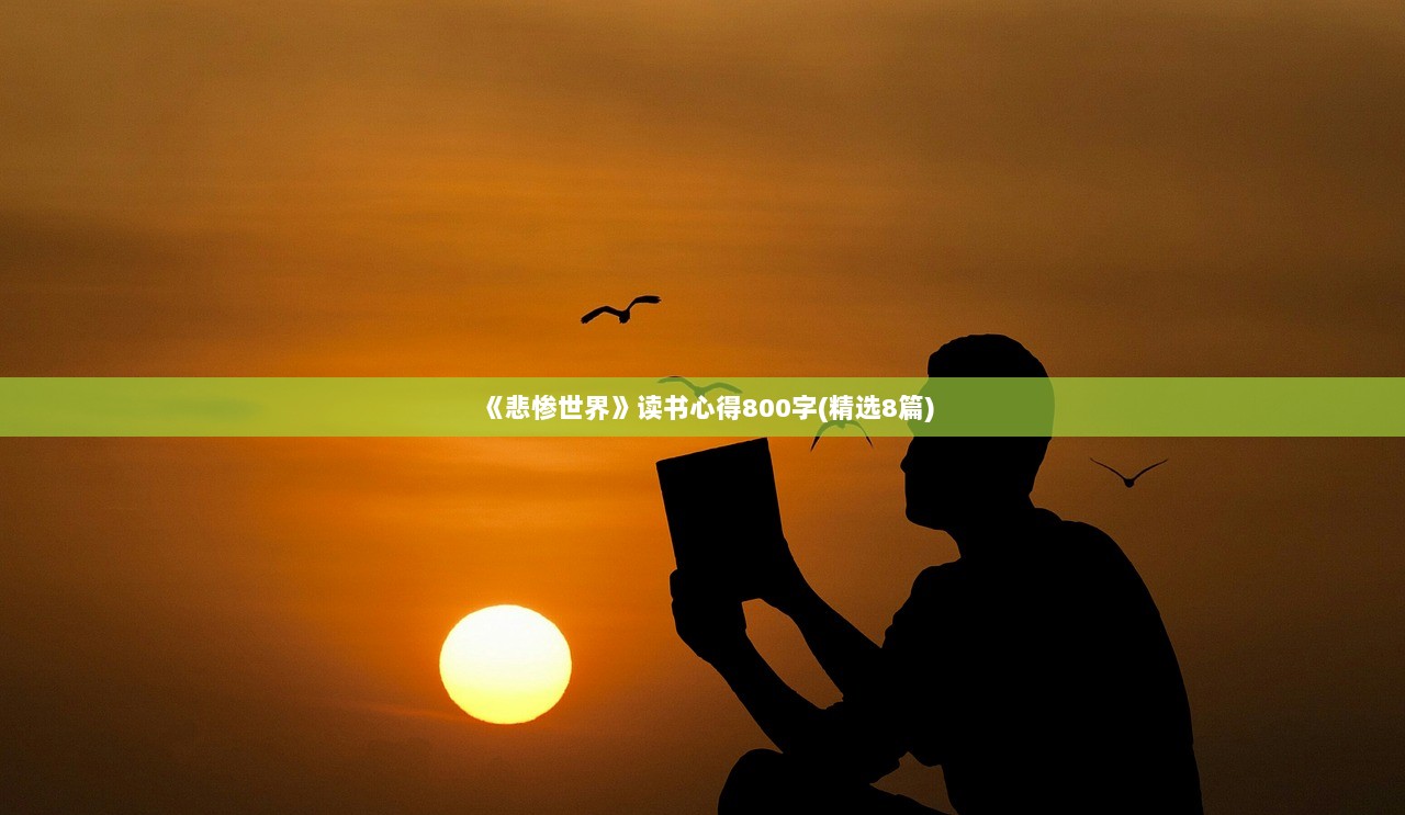 《悲惨世界》读书心得800字(精选8篇)  第1张