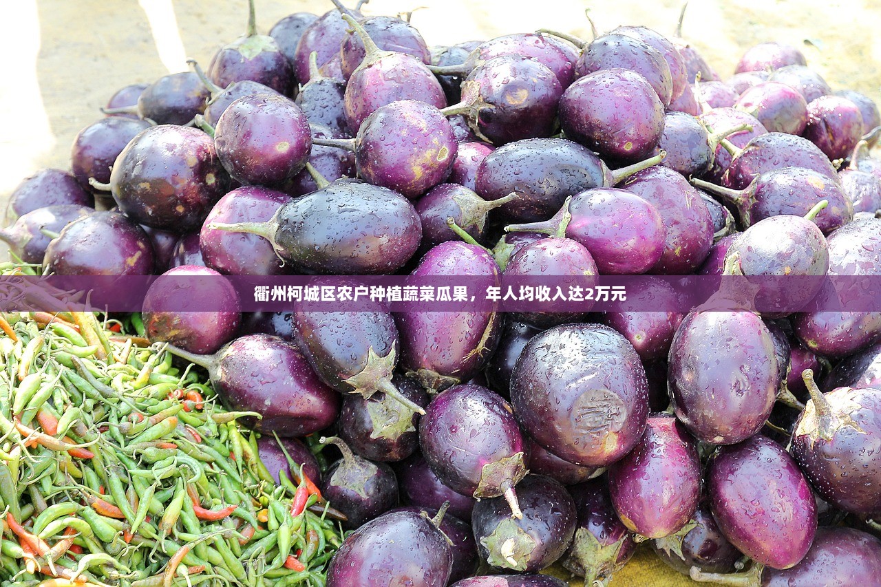 衢州柯城区农户种植蔬菜瓜果，年人均收入达2万元