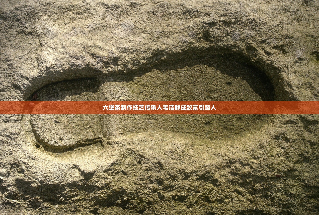 六堡茶制作技艺传承人韦洁群成致富引路人  第1张