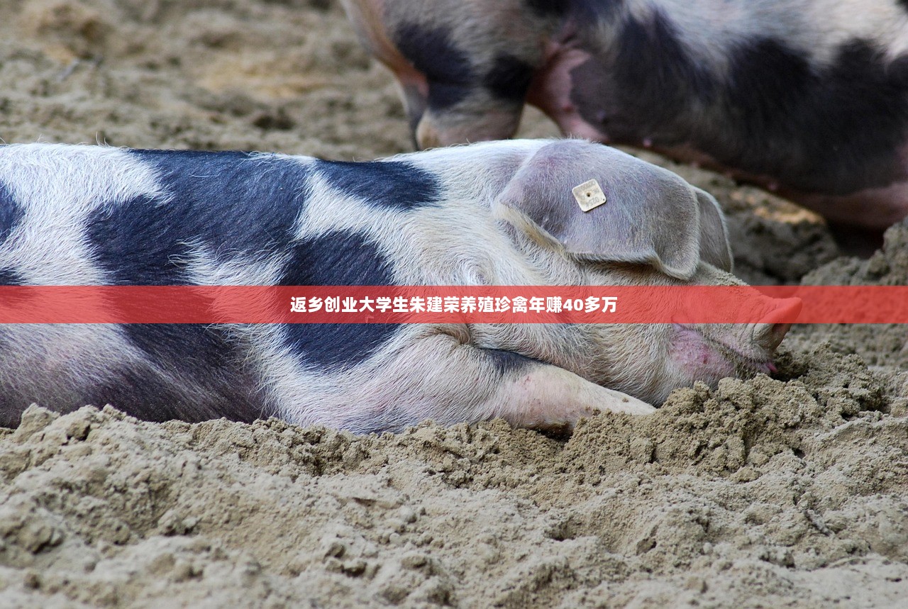 返乡创业大学生朱建荣养殖珍禽年赚40多万