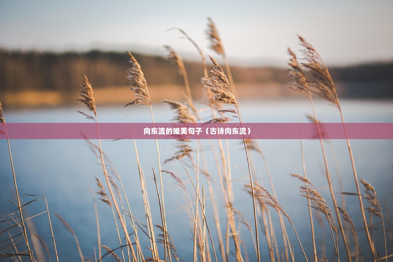 向东流的唯美句子（古诗向东流）