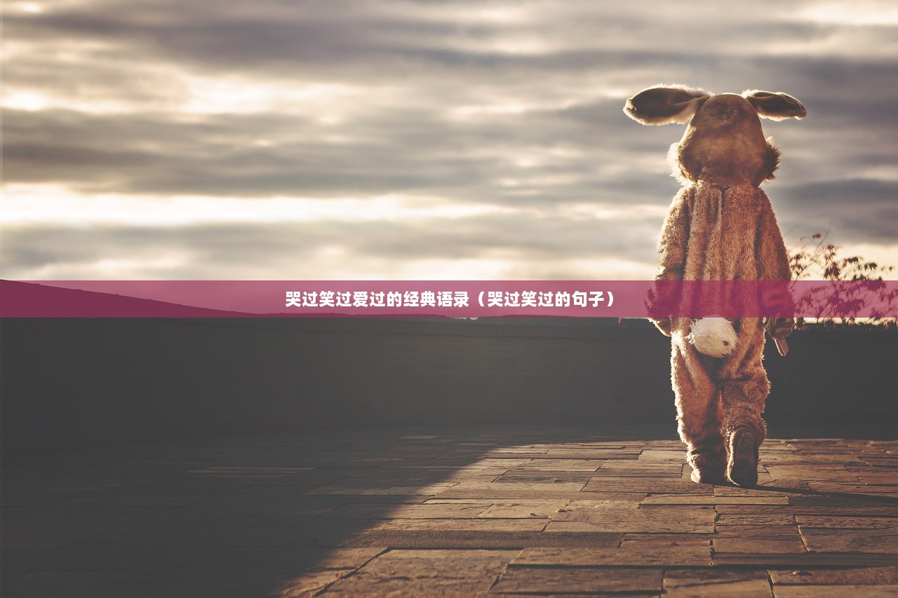 哭过笑过爱过的经典语录（哭过笑过的句子）  第1张