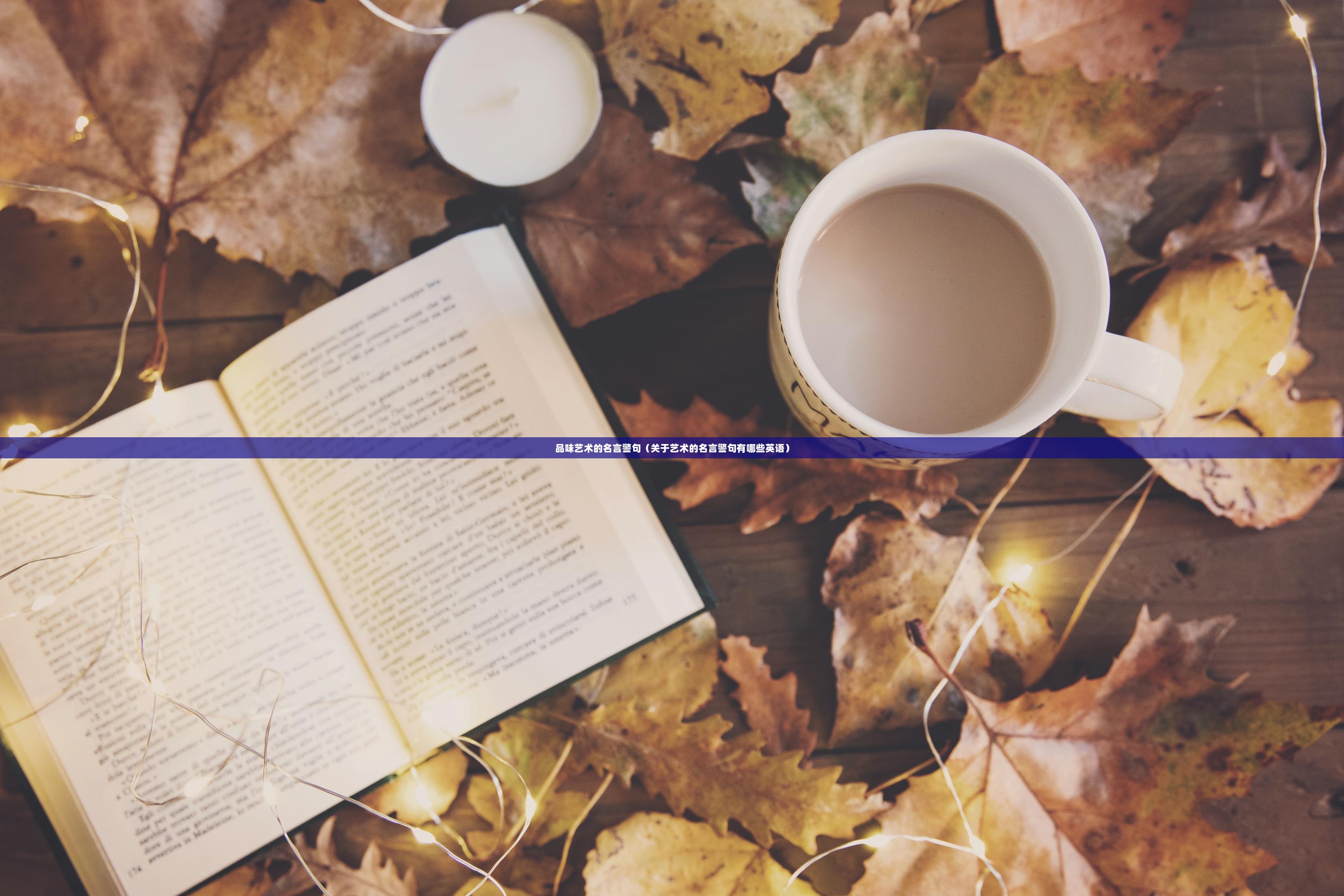 品味艺术的名言警句（关于艺术的名言警句有哪些英语）