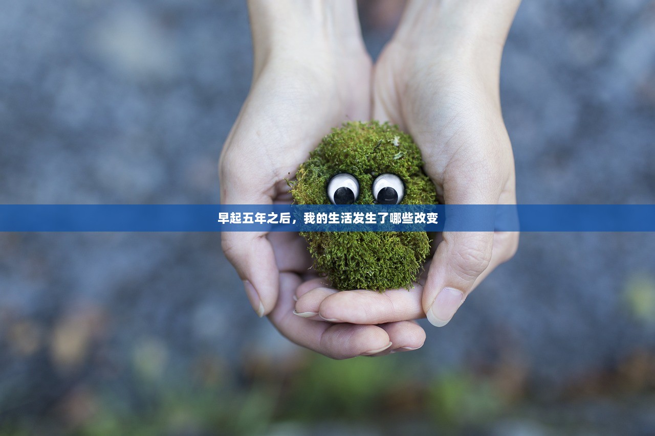 早起五年之后，我的生活发生了哪些改变