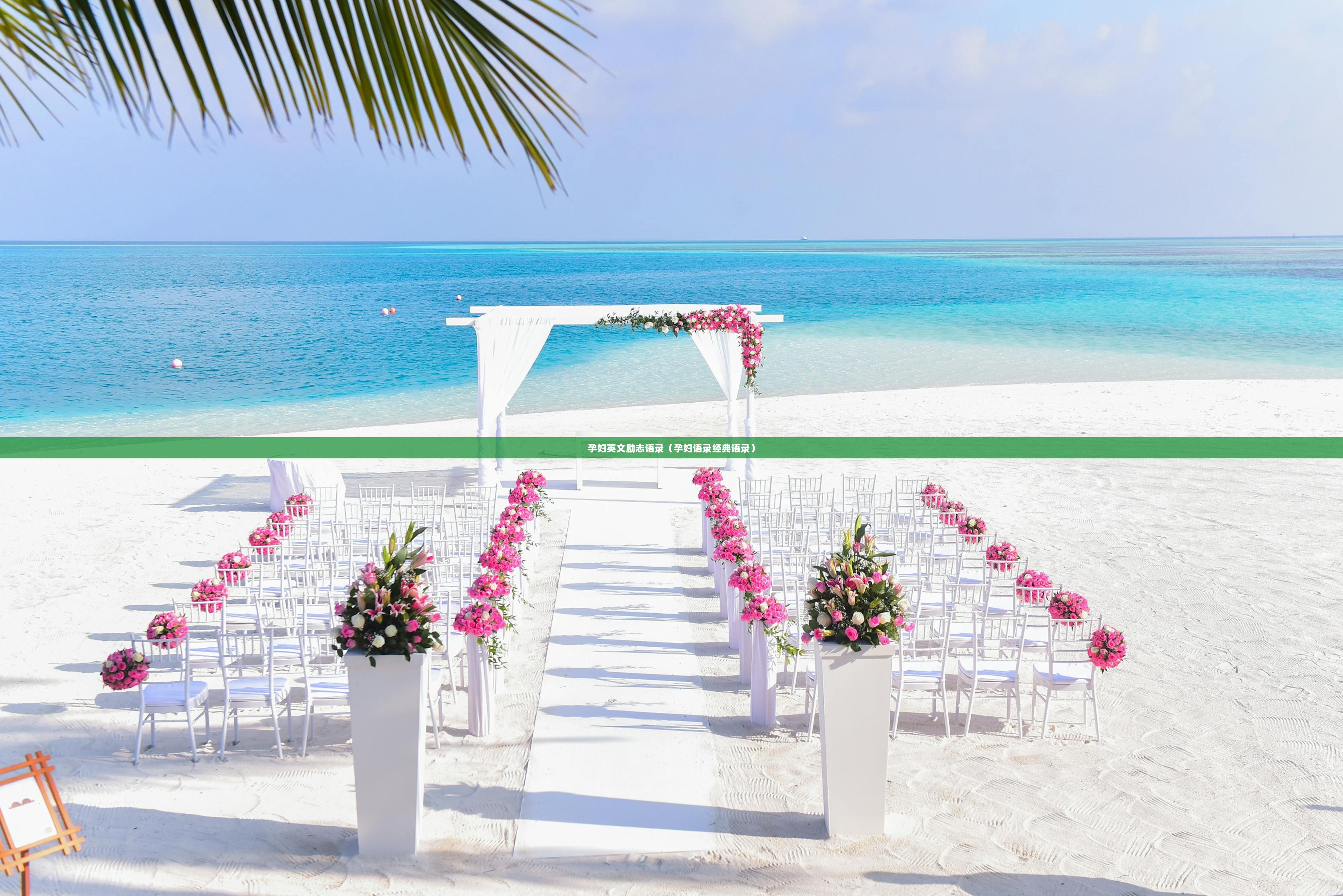 孕妇英文励志语录（孕妇语录经典语录）