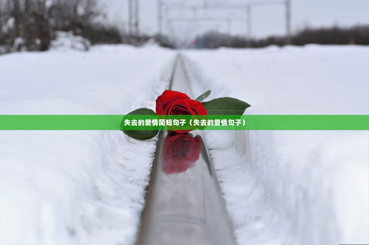 失去的爱情简短句子（失去的爱情句子）