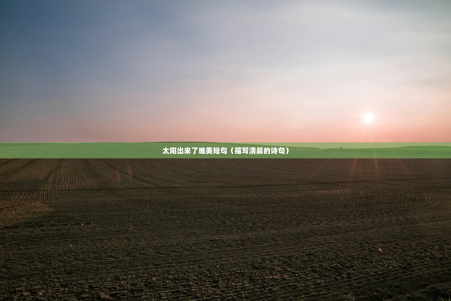 太阳出来了唯美短句（描写清晨的诗句）