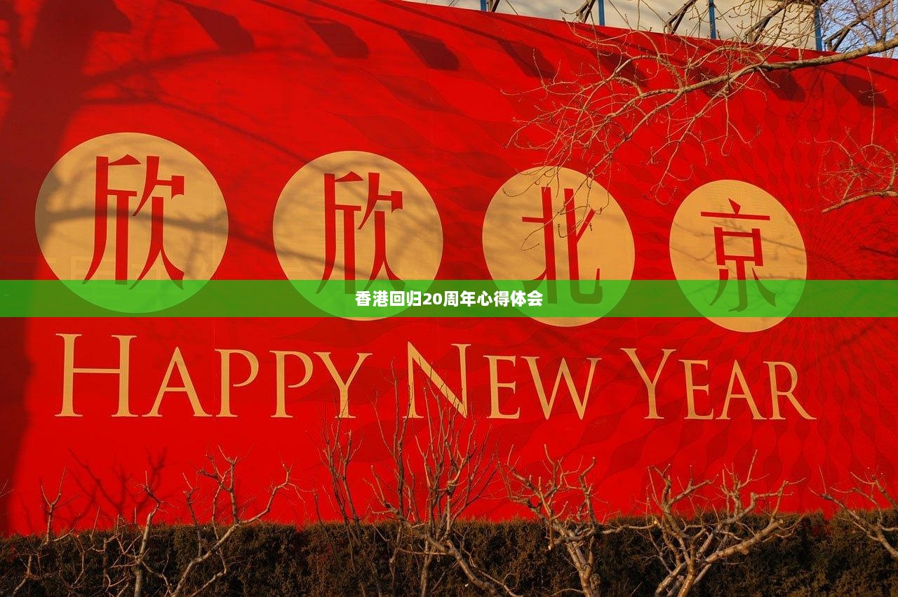 香港回归20周年心得体会