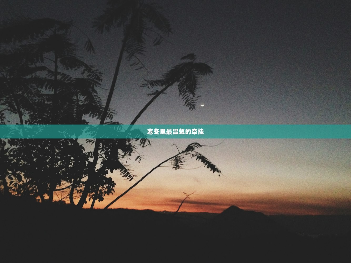 寒冬里最温馨的牵挂