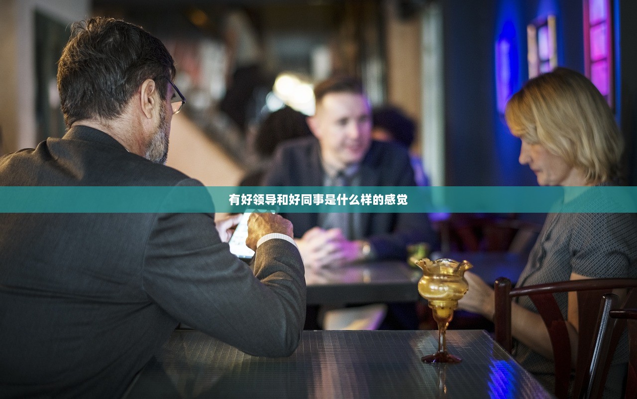 有好领导和好同事是什么样的感觉