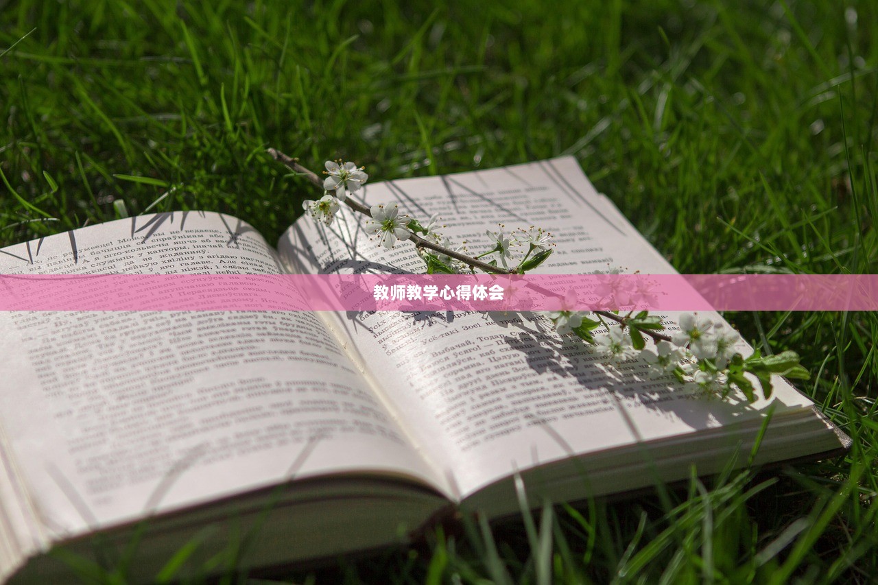 教师教学心得体会
