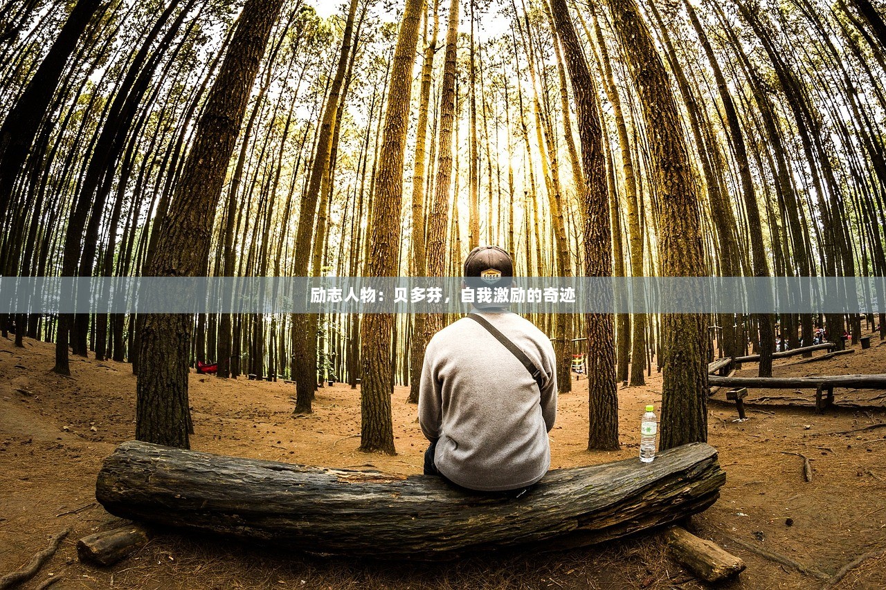 励志人物：贝多芬，自我激励的奇迹