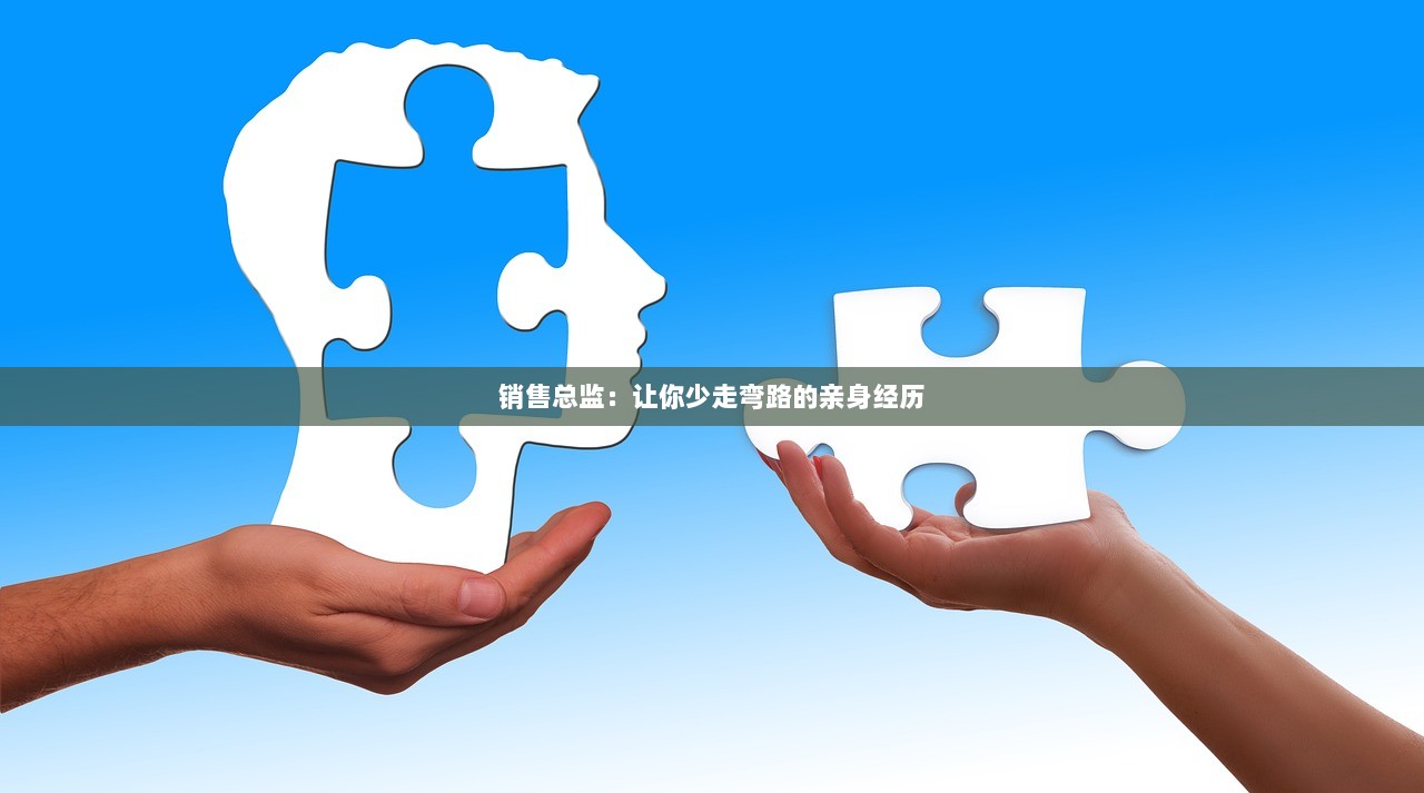 销售总监：让你少走弯路的亲身经历
