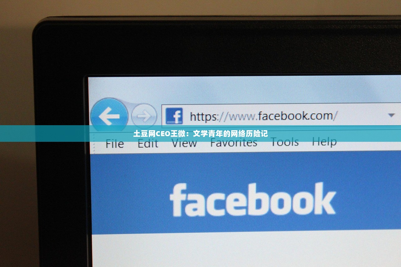 土豆网CEO王微：文学青年的网络历险记  第1张