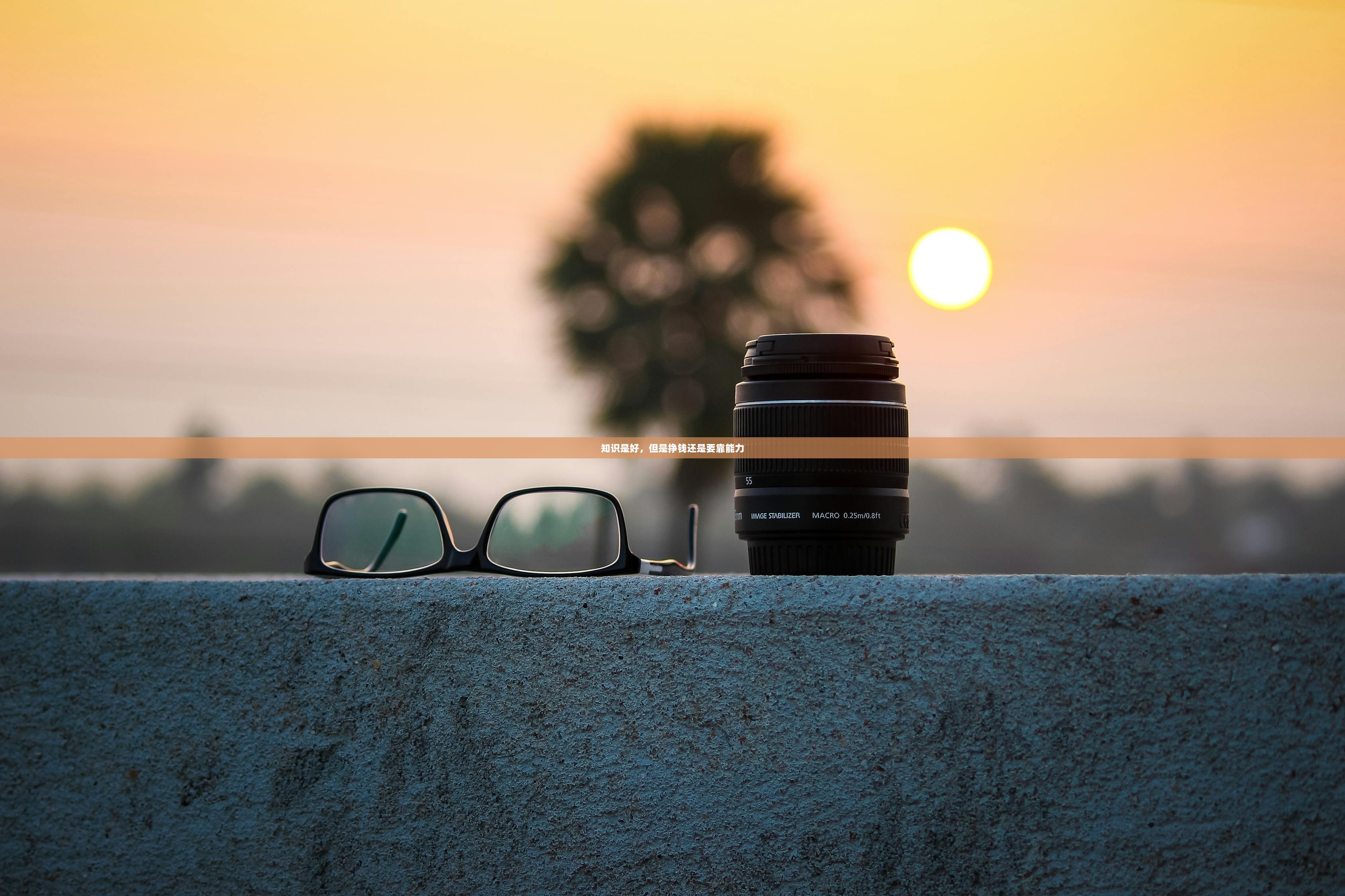 知识是好，但是挣钱还是要靠能力