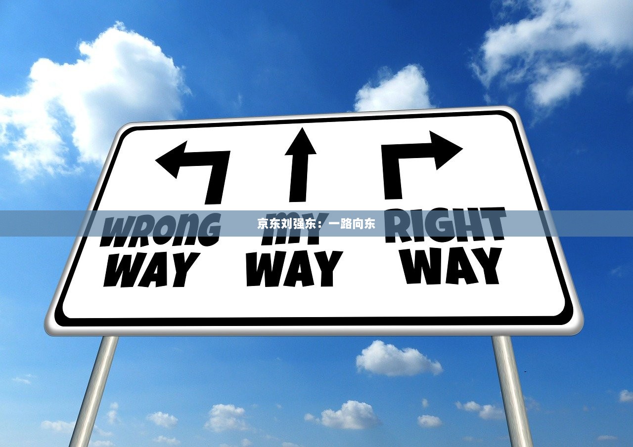 京东刘强东：一路向东  第1张