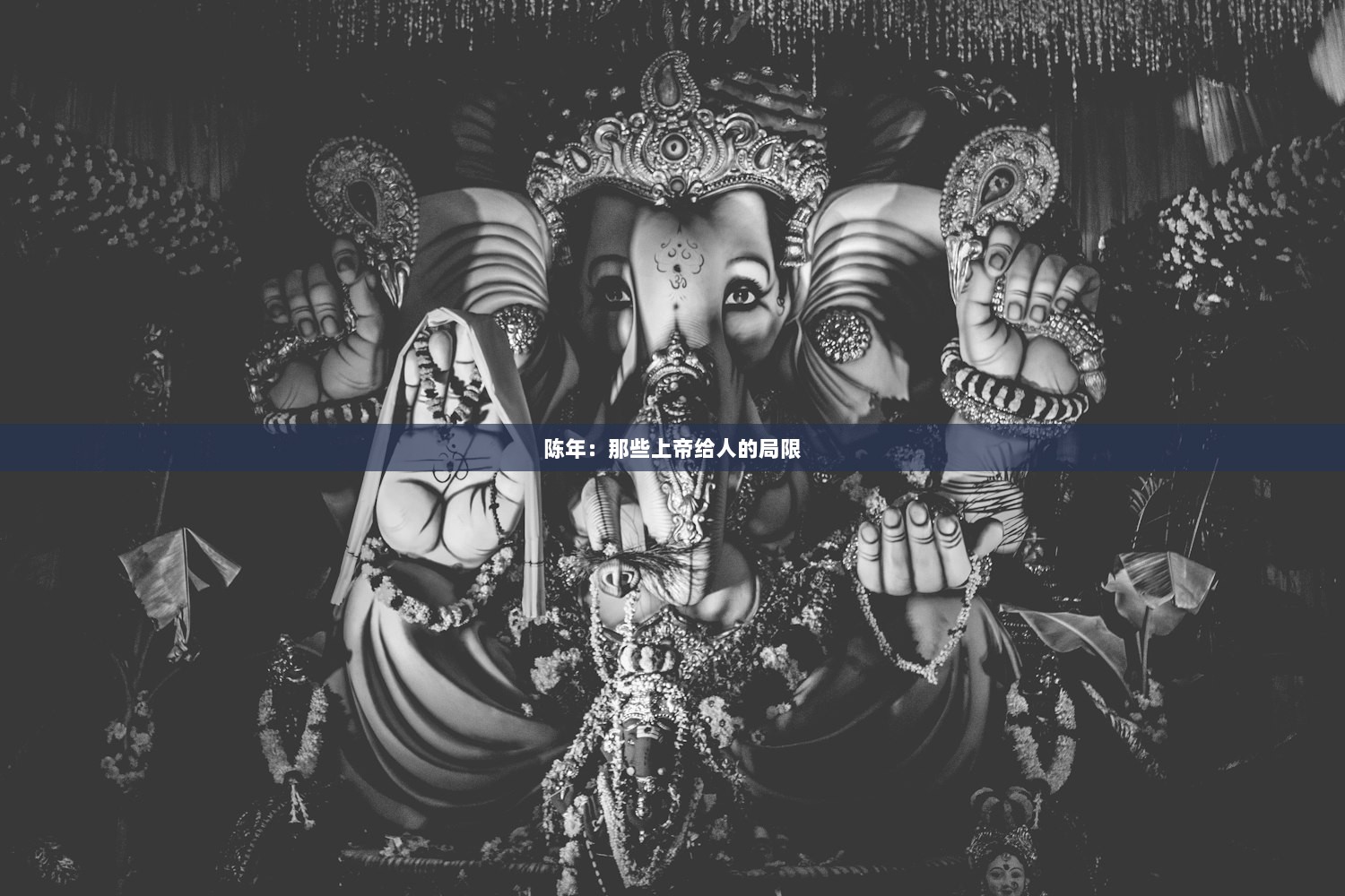 陈年：那些上帝给人的局限  第1张