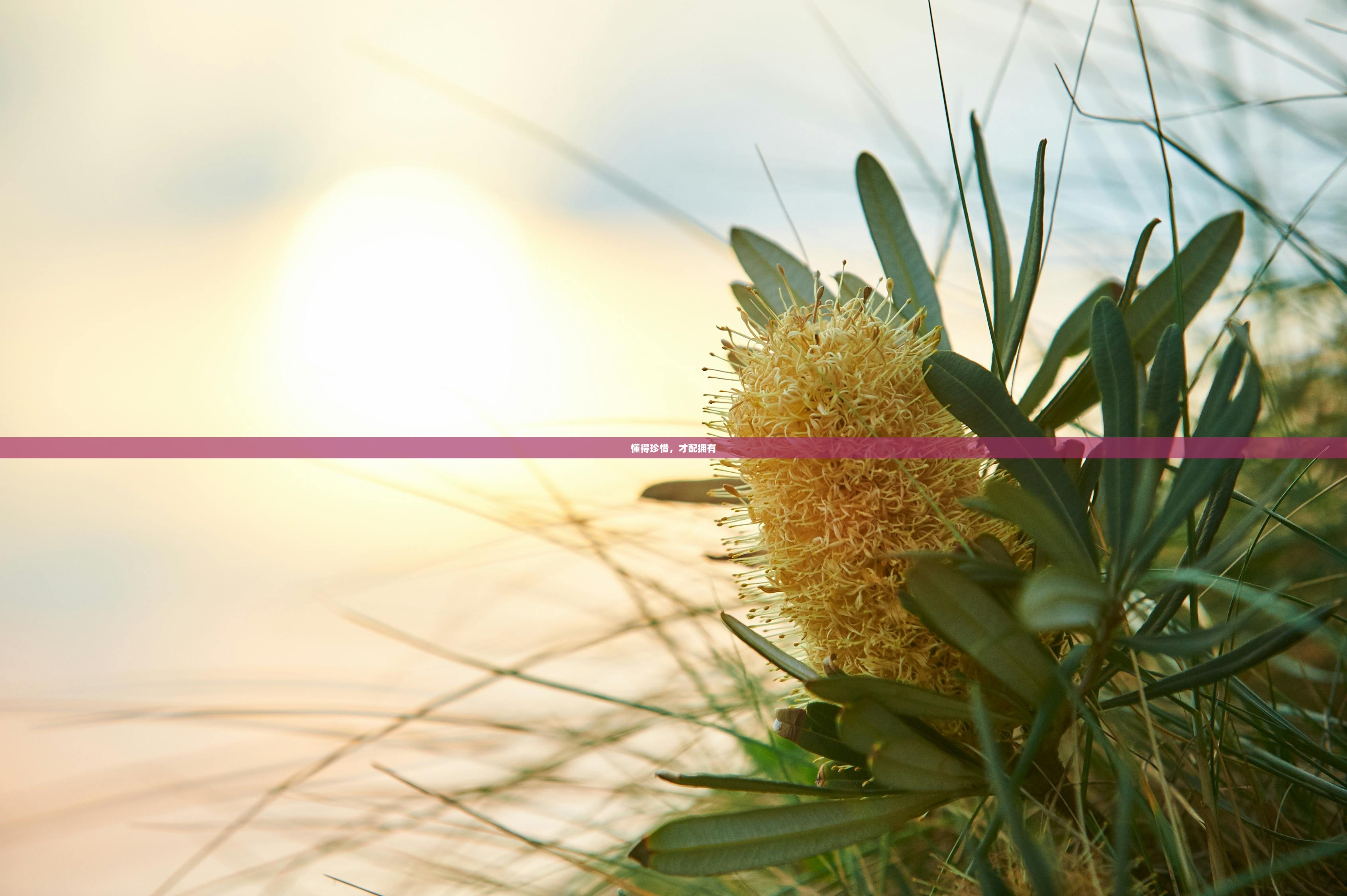 懂得珍惜，才配拥有