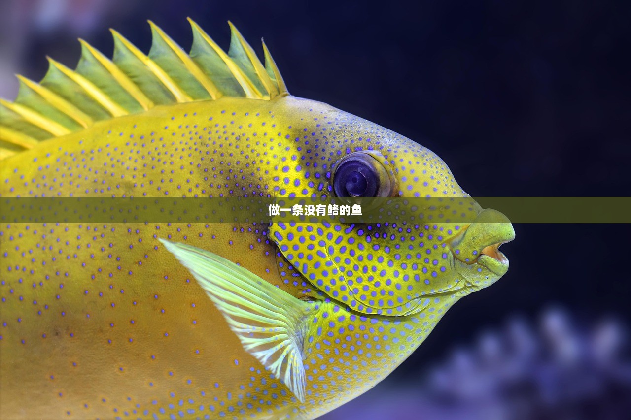 做一条没有鳍的鱼