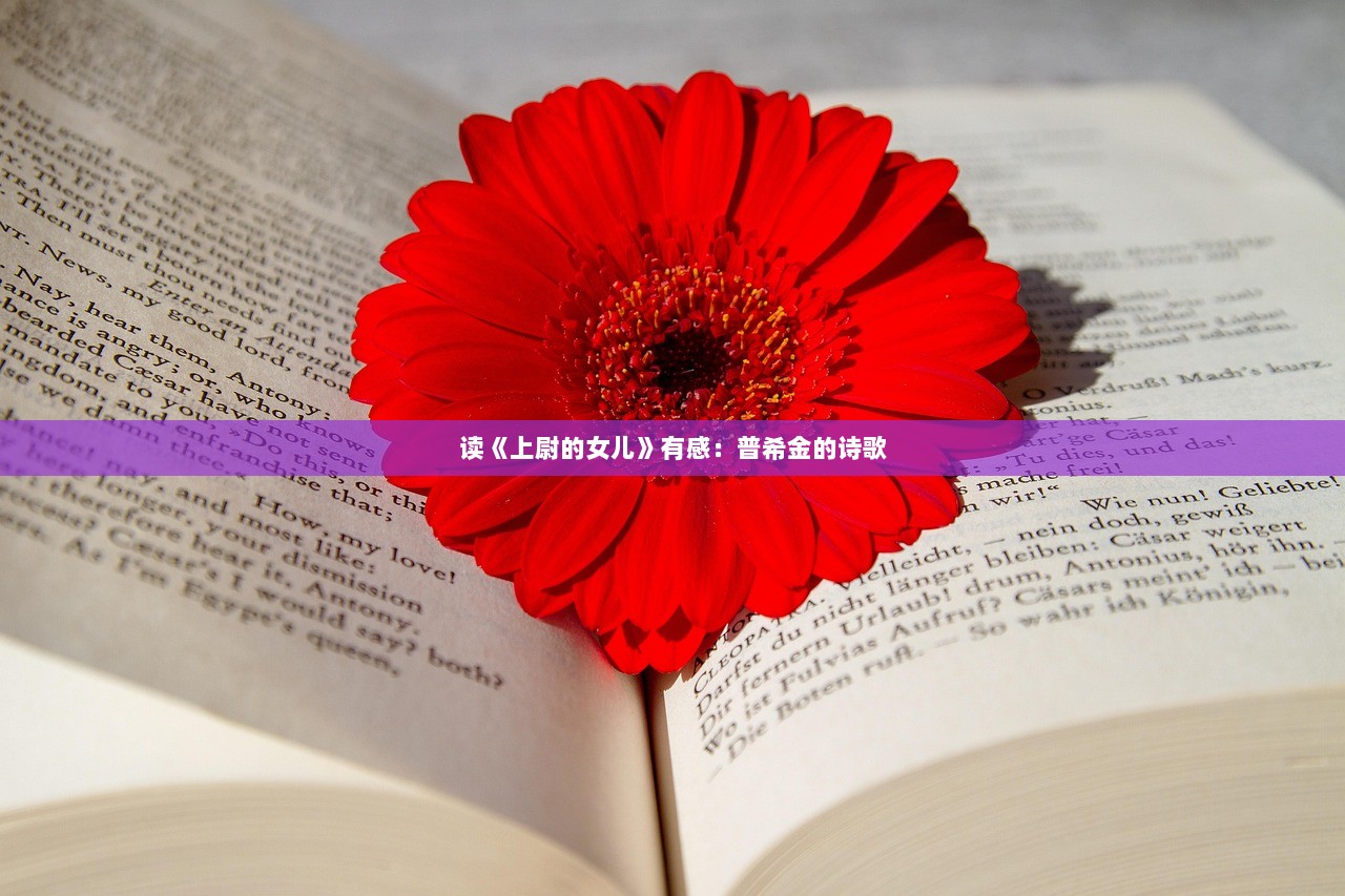 读《上尉的女儿》有感：普希金的诗歌