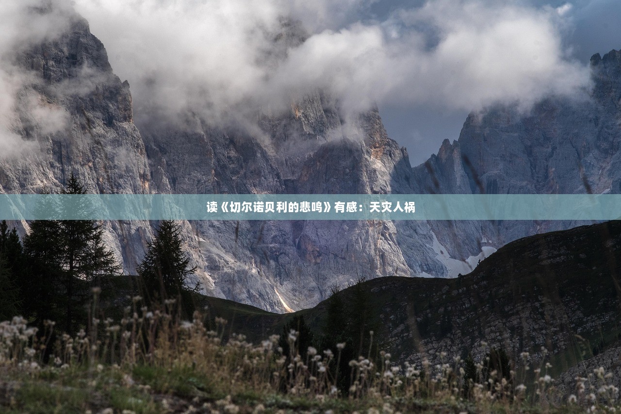 读《切尔诺贝利的悲鸣》有感：天灾人祸