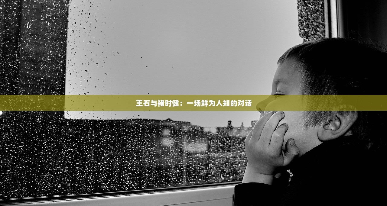 王石与褚时健：一场鲜为人知的对话