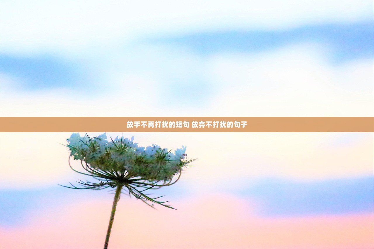 放手不再打扰的短句 放弃不打扰的句子