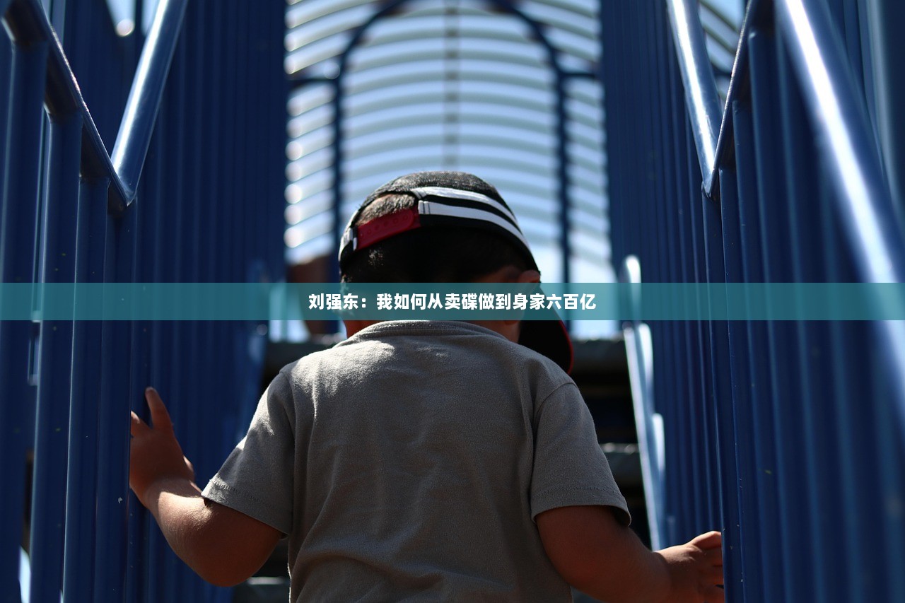 刘强东：我如何从卖碟做到身家六百亿