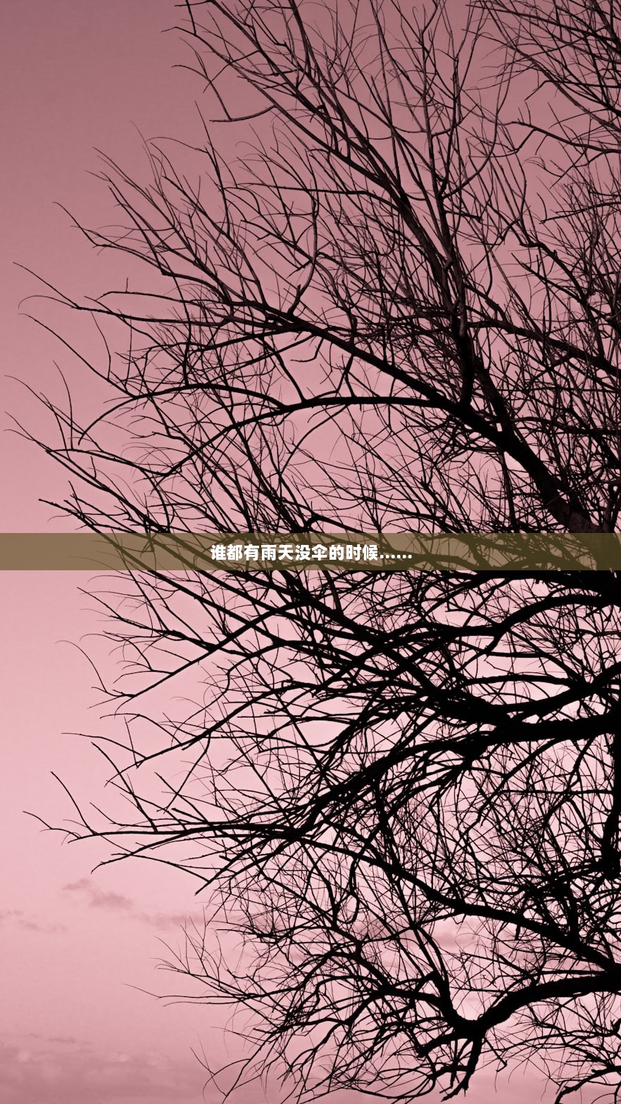 谁都有雨天没伞的时候……  第1张