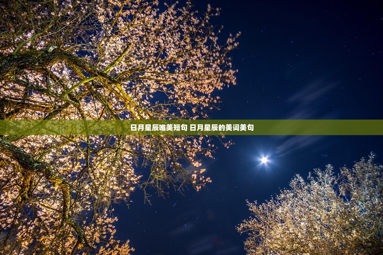日月星辰唯美短句 日月星辰的美词美句