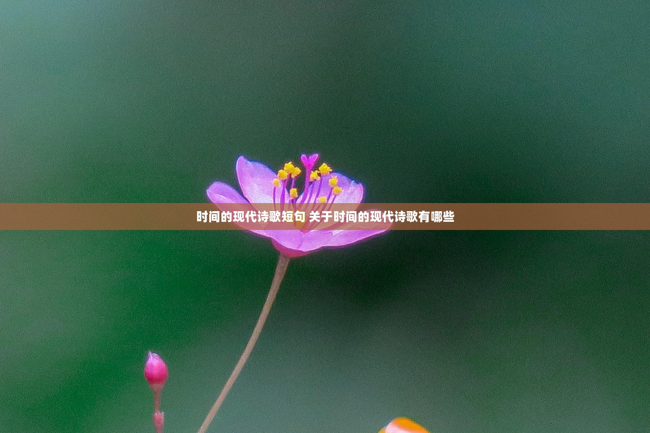 时间的现代诗歌短句 关于时间的现代诗歌有哪些