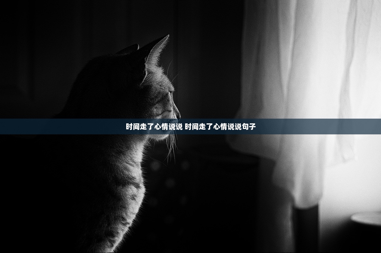 时间走了心情说说 时间走了心情说说句子