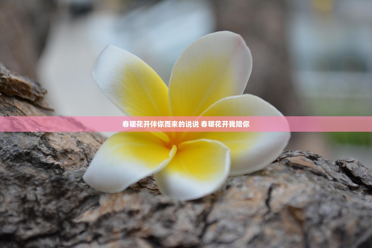 春暖花开伴你而来的说说 春暖花开我陪你