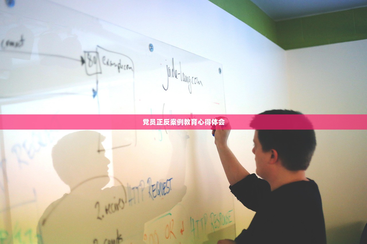 党员正反案例教育心得体会