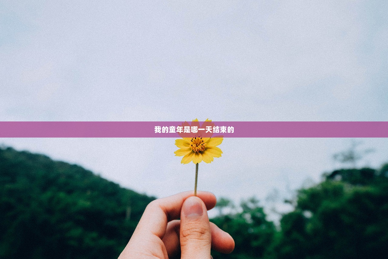 我的童年是哪一天结束的