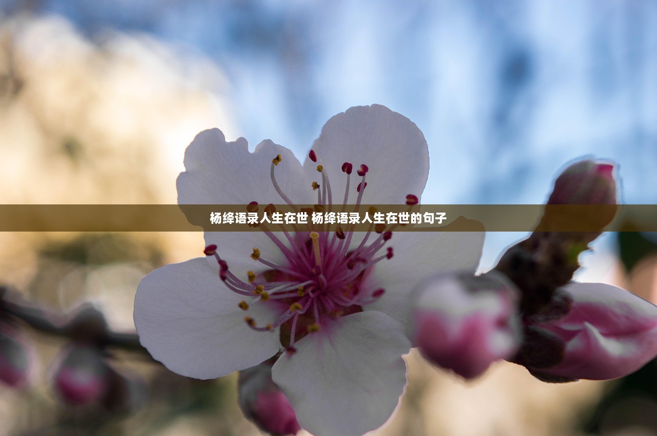 杨绛语录人生在世 杨绛语录人生在世的句子  第1张