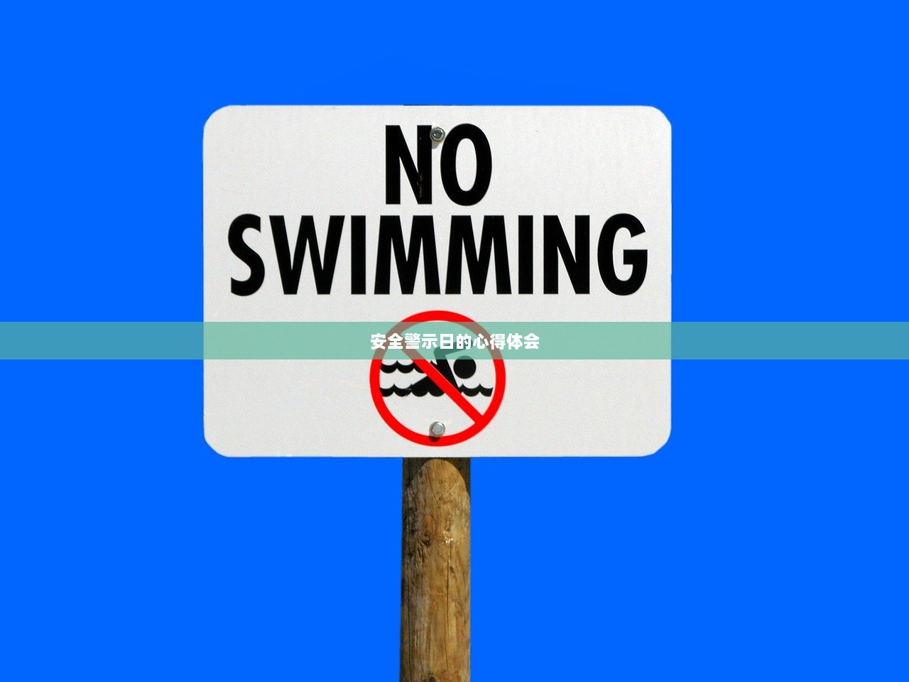 安全警示日的心得体会