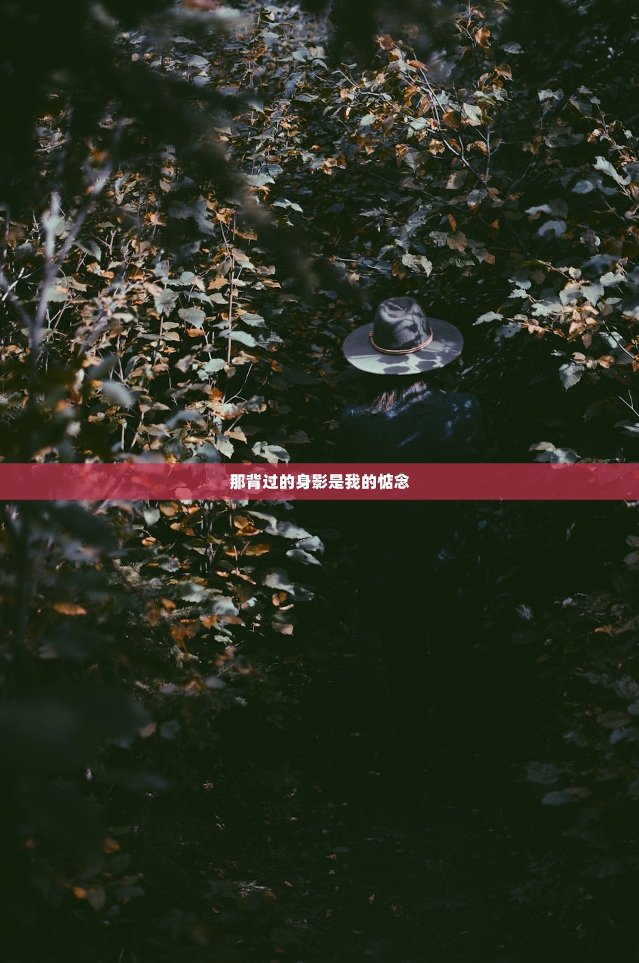 那背过的身影是我的惦念  第1张